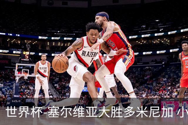世界杯-塞尔维亚大胜多米尼加 小组第二进八强