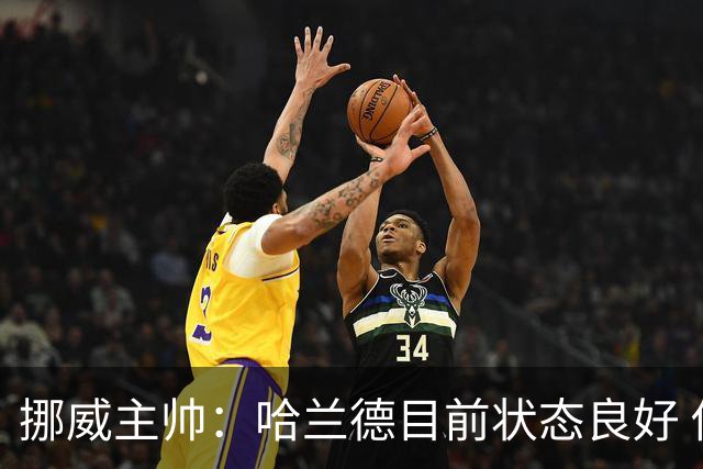 挪威主帅：哈兰德目前状态良好 他是世界上最好的射手